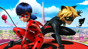 ladybug cat noir